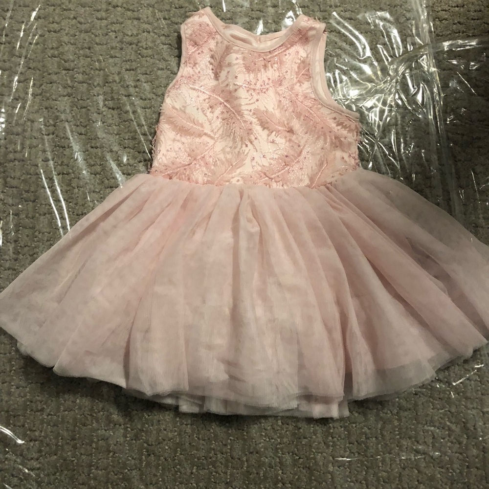 Pippa & Julie light pink feather dress 24 month